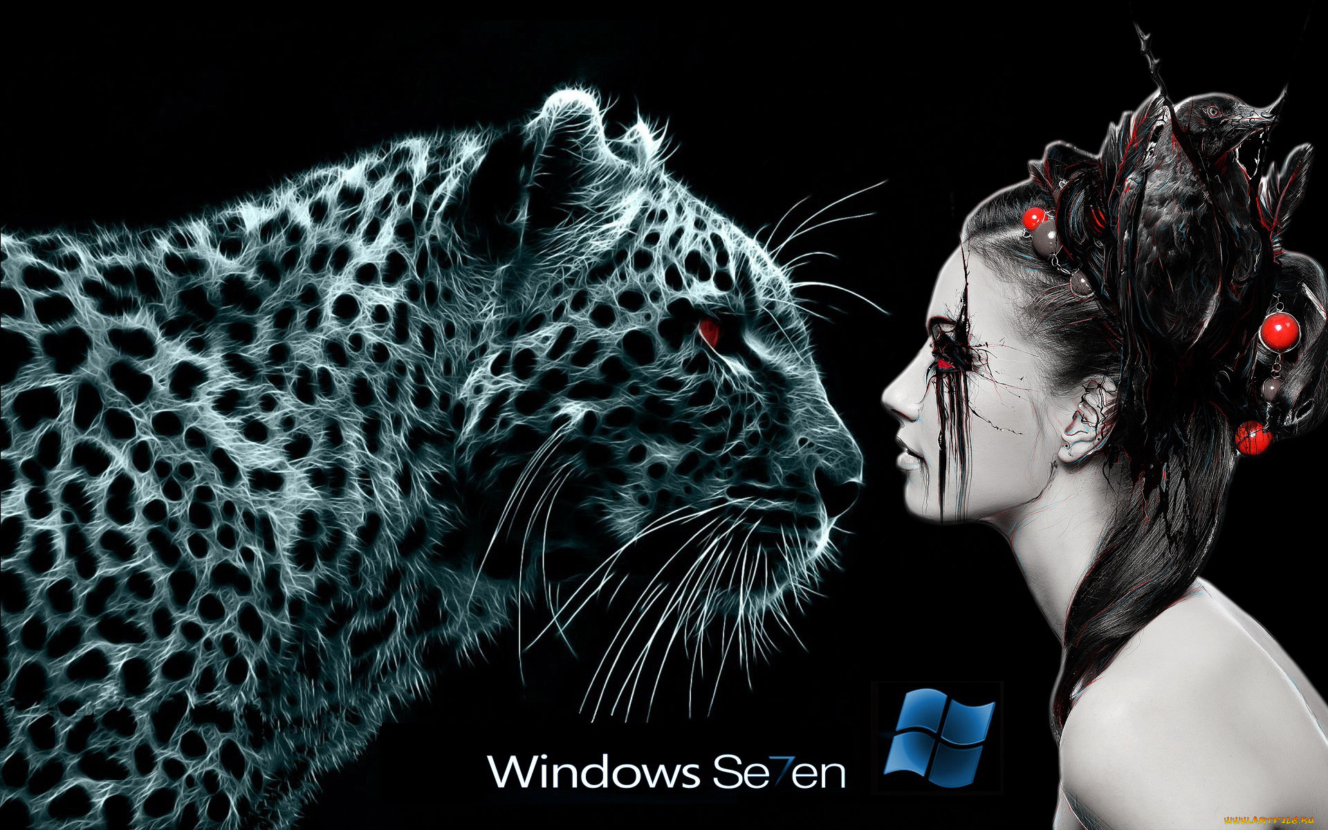 , windows, vienna